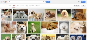 犬_検索画面