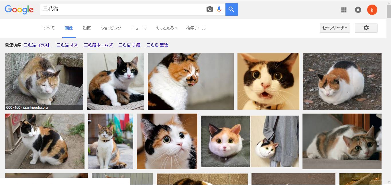 三毛猫 - Google 検索
